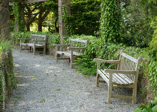 Wooden benches for rest.  Wave Hill in Hudson Hill of Riverdale in Bronx, New York City photo