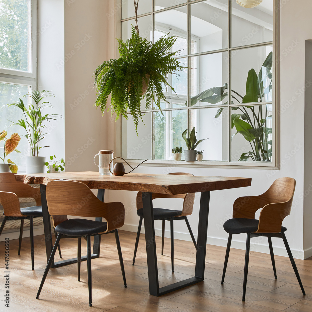 Fototapeta premium Stylish and cozy interior of dining room with design craft wooden table, chairs, plants, velvet sofa, poster map and elegant accessories in modern home decor. Template.