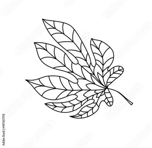 Hand drawn autumn chestnut leaf in doodle style. Leaf icon on white background. Vector illustration of chestnut for clothes, bed linen, postcards, icon, sticker for textile design