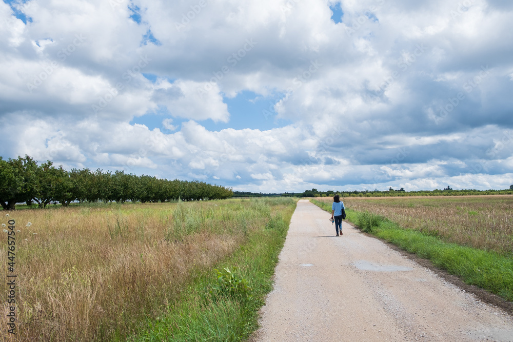 Woman in blue shirt walking on a rural road in summer Woman in blue shirt walking on a rural road in summer