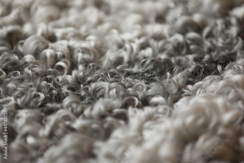 Detail of wool from a lamb skin, Gotland Sweden.