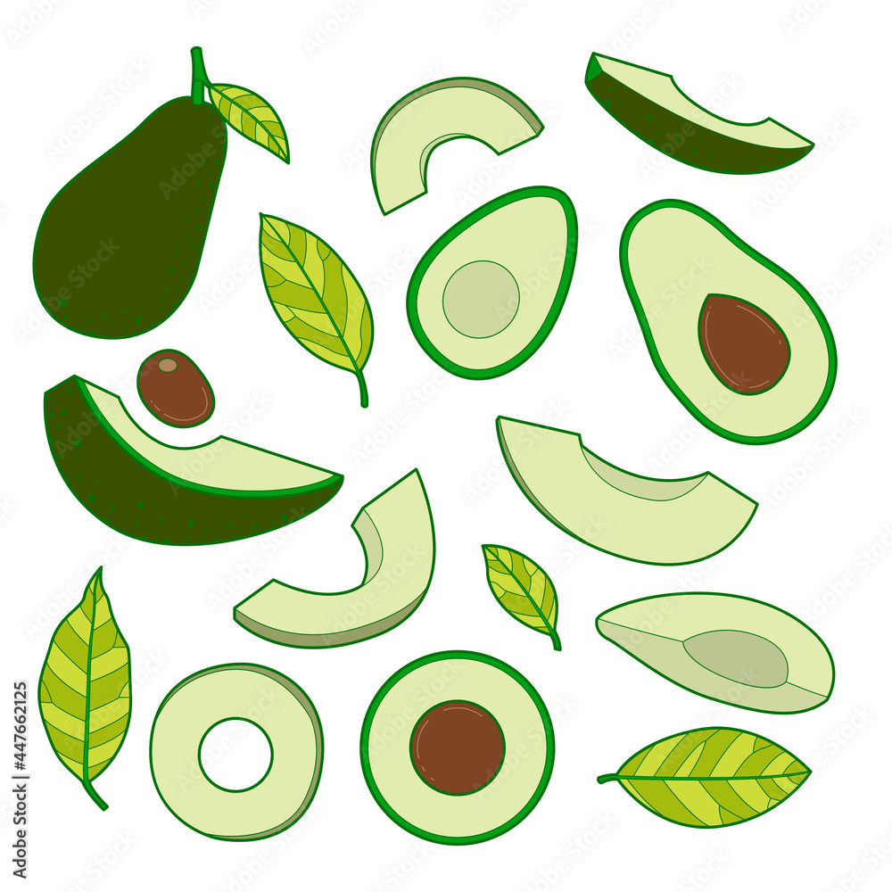 Set of avocado vector. Set of avocado vector.