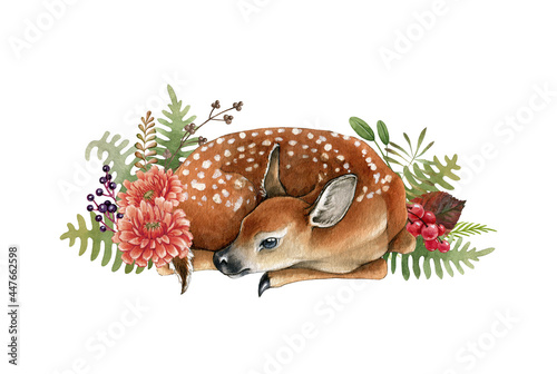 Deer cub in flowers decor. Beautiful fawn hand drawn watercolor image. Sleeping bambi illustration. Wild young deer animal with white back spots in the wild herbs, flowers. White background photo
