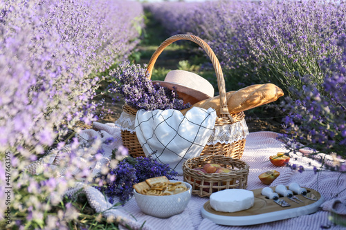 Fototapeta Naklejka Na Ścianę i Meble -  Wicker basket with tasty food for romantic picnic in lavender field
