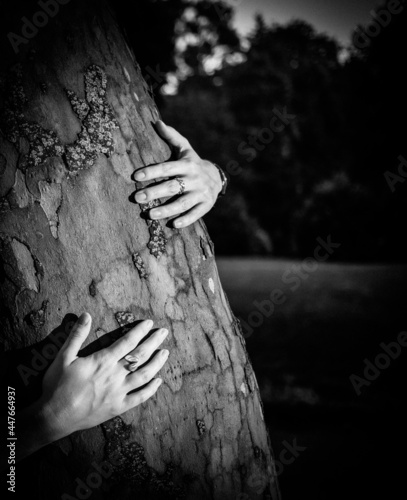 woman hand embracing a tree in the forest - nature loving, fight global warming, save planet earth