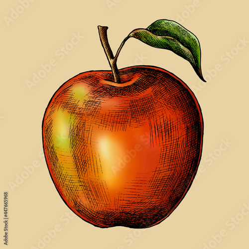 Fresh ripe red apple vector