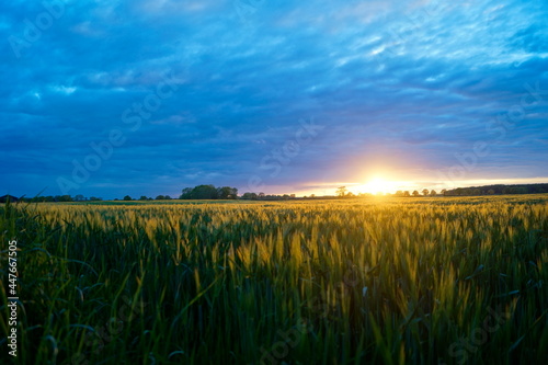 Klima: "verhagelt uns dieser Sommer die Ernte?"
