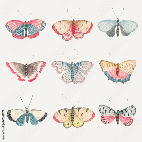 Vintage butterfly and moth watercolor illustration vector set, remixed from the 18th-century artworks from the Smithsonian archive.