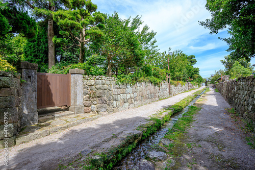 夏の武家屋敷通り　長崎県島原市　Bukeyashiki Street in summer Nagasaki-ken Shimabara city photo