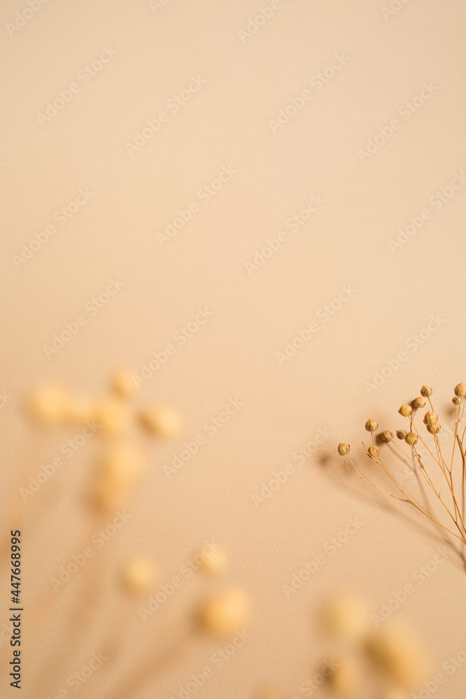 image to crop
