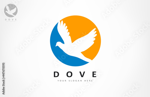 Dove Bird logo vector. Animal design.