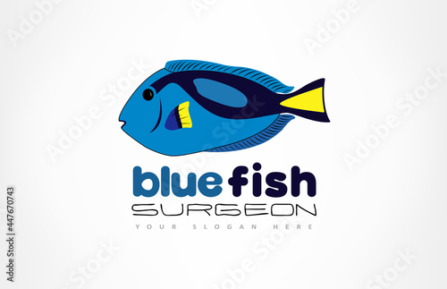 Fish surgeon logo vector. Animal design.