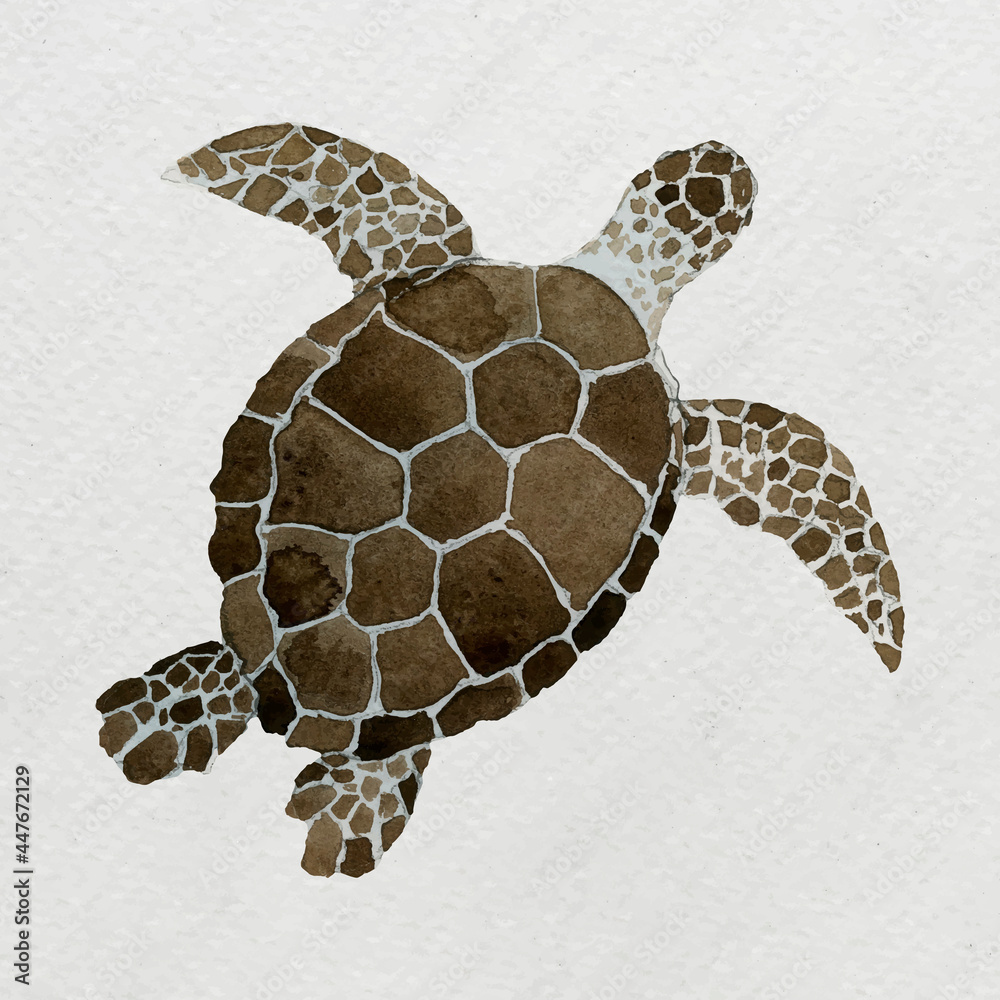 Watercolor painted sea turtle on white canvas vector Stock Vector ...