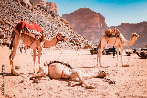 Photo taken in Jordan, Wadi Rum desert © Karolis