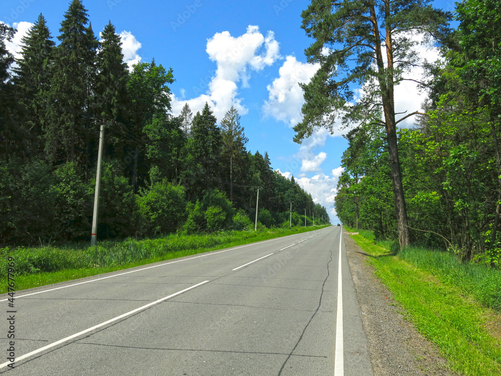 Fototapeta premium deserted asphalt highway in summer