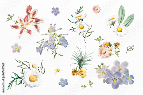 Beautiful colorful flower vector set