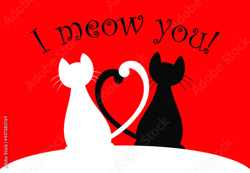 Love cats with the tails crossed like a heart, I meow you romantic cats card, cats in love, Valentine's Day card, black and white cats on a red background