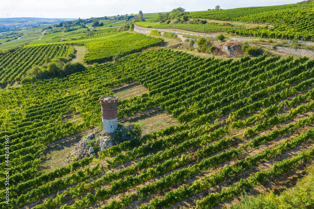 View from above of a vineyard with a tower-shaped shelter in Rheinpfalz / Germany 
