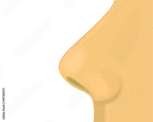 Female human nose on the face isolated on a white background