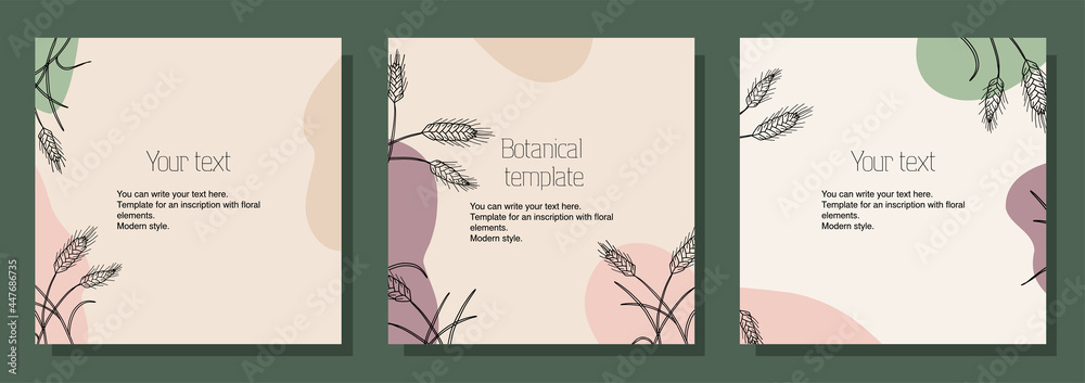 Fototapeta Illustration botanical set of square templates for postcards, cards, text placement. Minimalistic modern style.