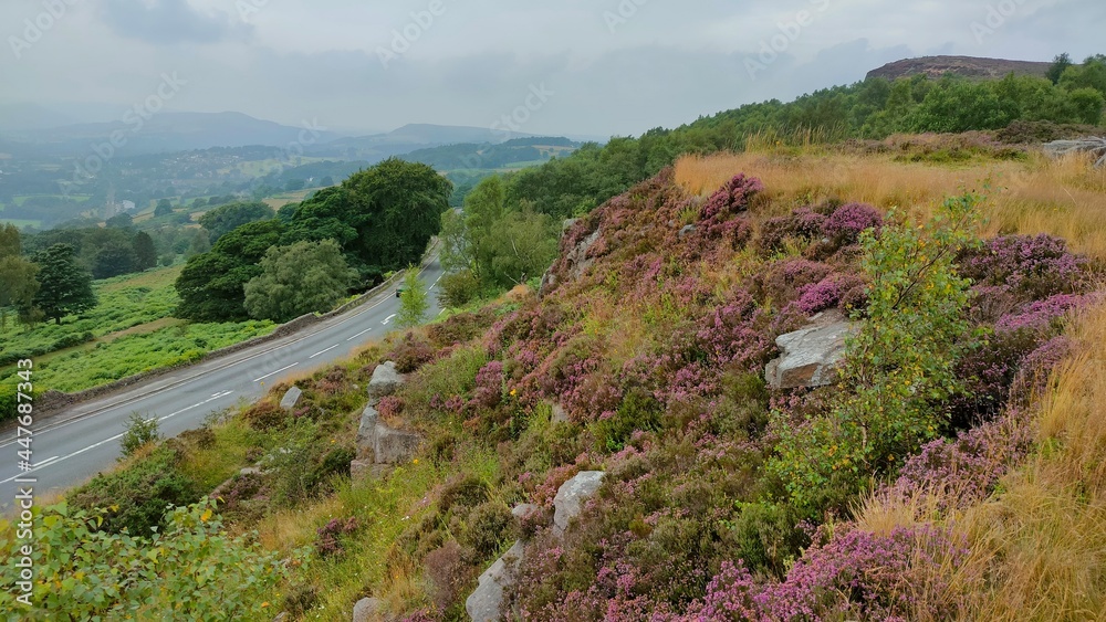 Fototapeta premium footpath in the mountains