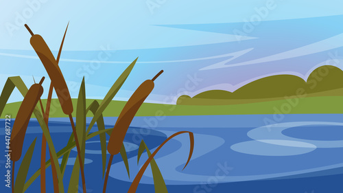 Landscape with reeds on the river. Beautiful natural scenery.
