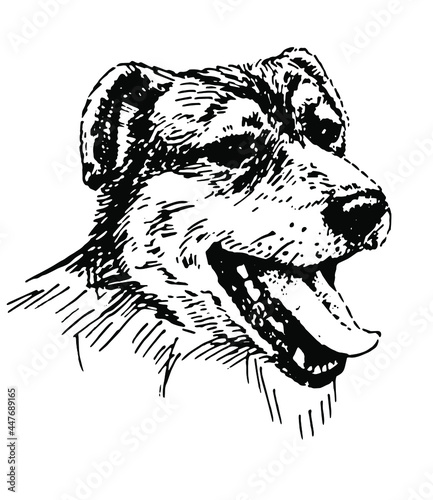 Black and white sketch of a dog. Vector illustration.
