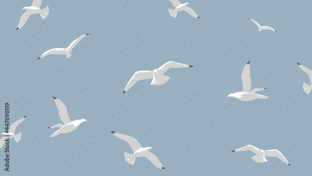 Fototapeta premium 283-gulls-over-the-sea