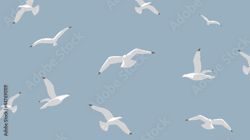283-gulls-over-the-sea photo