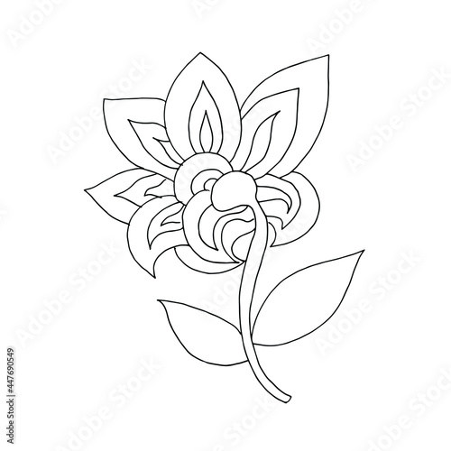 decorative flower drawn by line