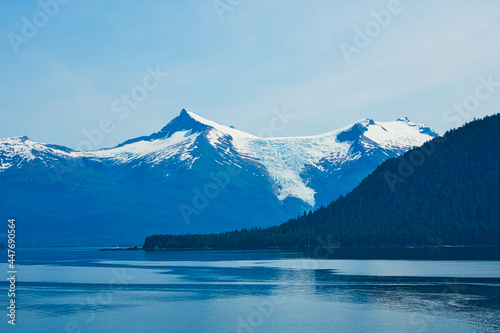 Fototapeta Naklejka Na Ścianę i Meble -  The mountain with green trees. In the background is a mountain with snow. The fjords of Alaska, unique natural landscapes. Alaska, USA. June 2019.