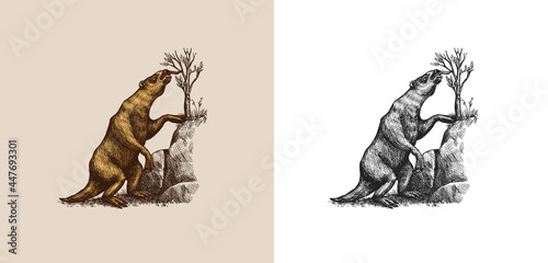 Ground sloth or Megatheriidae. Prehistoric mammals. Extinct animal. Vintage retro vector illustration. Doodle style. Hand drawn engraved sketch