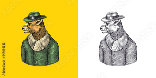 Cheetah character. Guepard in coat. Fashionable animal, vitorian gentleman in a jacket. Hand drawn Engraved old monochrome sketch. Vector illustration for t-shirt, tattoo or badge or print.