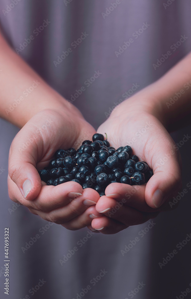 Woman with handful of freshly picked organic blueberries Woman with handful of freshly picked organic blueberries