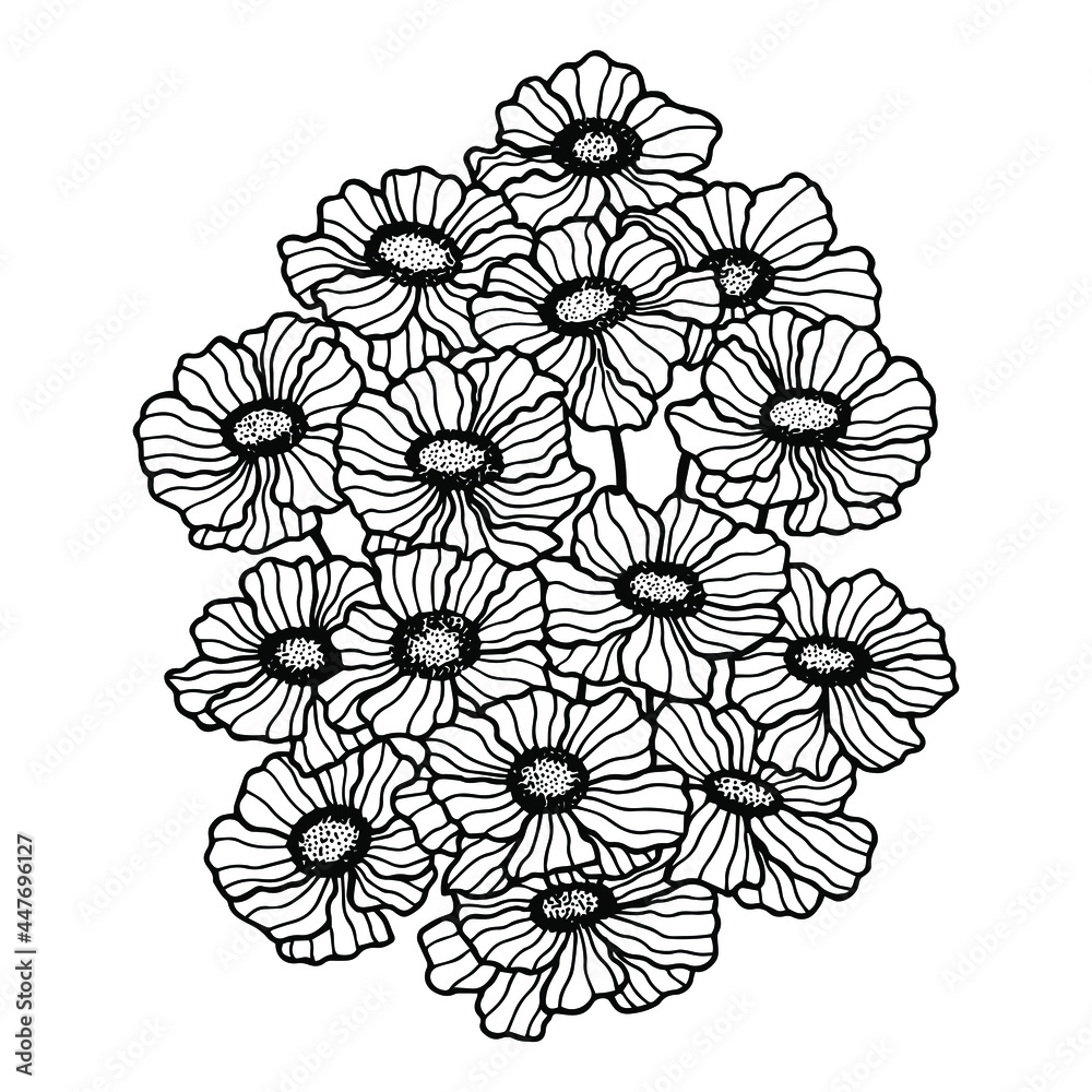 Fototapeta premium Flowers Terry Calibrachoa. Stock vector illustration eps10, outline hand drawing. Isolate on a white background.
