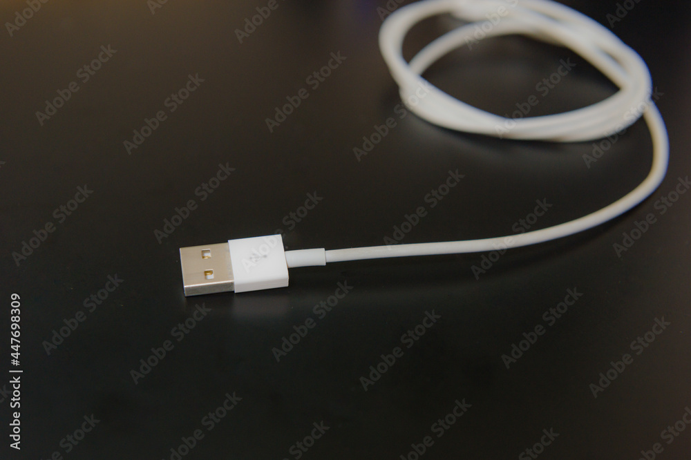 Fototapeta premium 白いUSB-Aケーブル