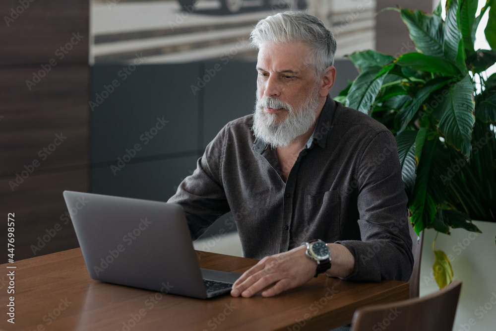 an incredibly beautiful and stylish gray-haired man of fifty years old working with a laptop, a European business man is a director or a top manager in an office or in a VIP airport waiting room, a an incredibly beautiful and stylish gray-haired man of fifty years old working with a laptop, a European business man is a director or a top manager in an office or in a VIP airport waiting room, a