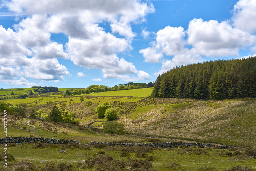 The West Dart Valley on a beautiful blue sky cloudy day, Dartmoor National Park, Devon, England, UK