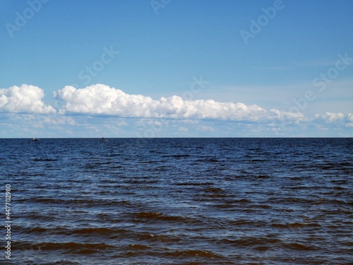 The tree is in the water.The lake flooded the Bank with a tree.The lake in the spring. Sandy beach.