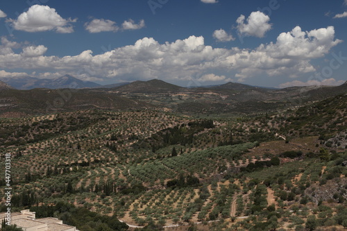 The ruins of mycoses in Greece 