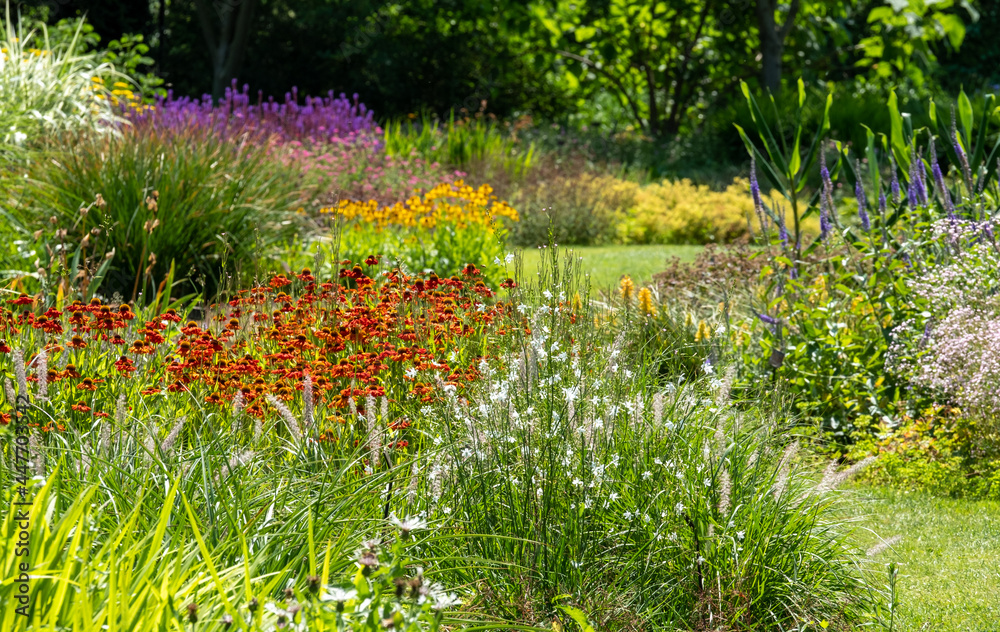 Colourful garden planted in the naturalistic style of the New Perennial ...