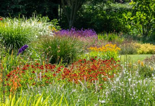 Colourful garden planted in the naturalistic style of the New Perennial movement, with emphasis on layering, structure, form and wide colour palette. 