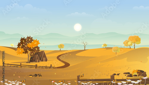 Autumn landscape with farmhouse, mountain, blue sky and cloud in village,Rural fields with cottage at farmland in sunny day,Cartoon vector illustration banner for Fall season or Autumnal background