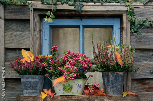 Fototapeta Naklejka Na Ścianę i Meble -  Herbstdekoration an altem Holzfenster im Garten