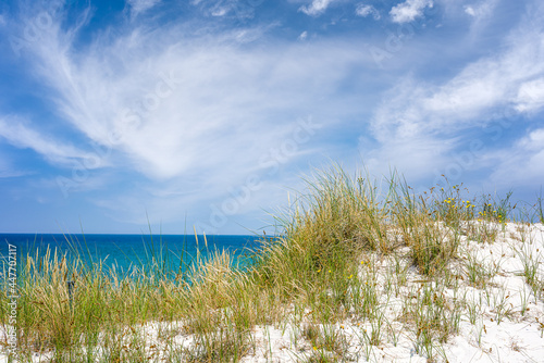 Dune with beach grass in the foreground. Baltic sea Germany. National Park Vorpommersche Boddenlandschaft photo