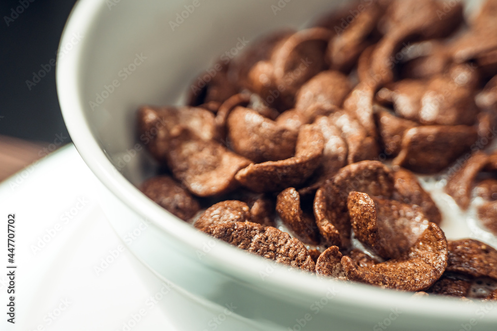 Closeup of Chocolate cereal with selective focus. Shallow depth field. Healthy food concept Closeup of Chocolate cereal with selective focus. Shallow depth field. Healthy food concept