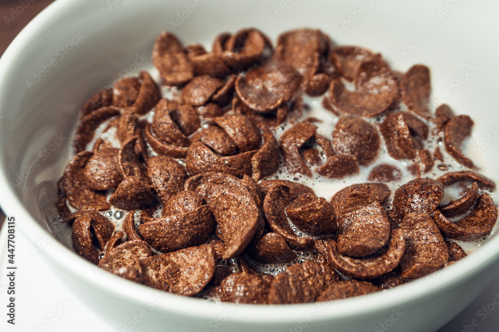 Closeup of Chocolate cereal with selective focus. Shallow depth field. Healthy food concept