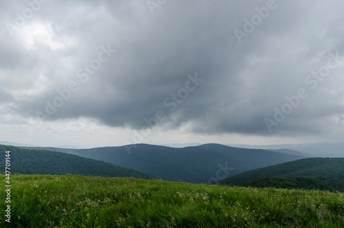 Fototapeta Naklejka Na Ścianę i Meble -  Panorama z połoniny Wetlińskiej  Bieszczady 