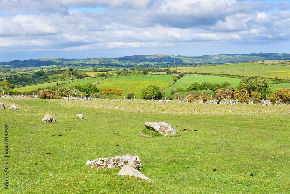 Dartmoor National Park, Devon, England, UK Dartmoor National Park, Devon, England, UK