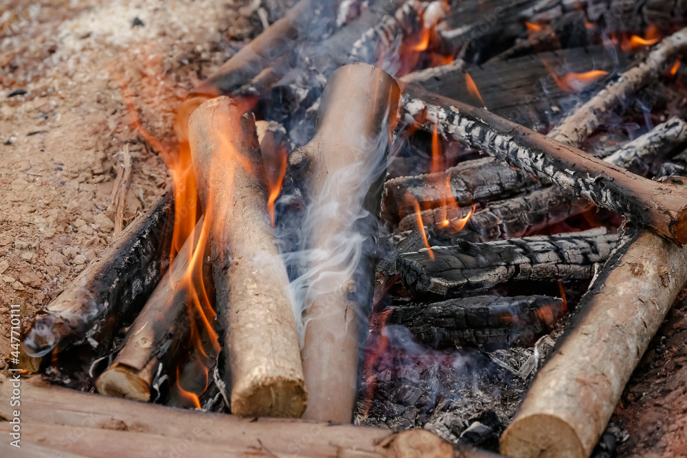 Fogo crepitando no chão, a brasa perfeita para assar carnes, espalhando um aroma irresistível pelo ar. Fogo crepitando no chão, a brasa perfeita para assar carnes, espalhando um aroma irresistível pelo ar.